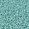 MIYUKI Delica Beads SEED-JP0008-DB1576-4