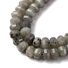 Natural Labradorite Beads Strands G-P587-D13-02-4