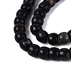 Natural Biotite Beads Strands G-Q616-02A-12-4