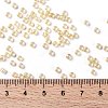 TOHO Round Seed Beads SEED-XTR08-0770-3