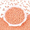 Opaque Glass Seed Beads SEED-N012-09A-10-2
