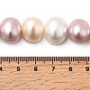 Shell Pearl Beads Strands BSHE-F013-01Q-4