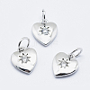 Brass Micro Pave Clear Cubic Zirconia Charms ZIRC-J040-09P-NR-1