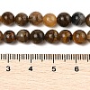 Natural Yellow Tiger Eye Beads Strands G-H238-6mm-4