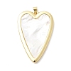 Natural Shell Pendants KK-H529-60A-G-1