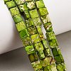 Dyed Natural Imperial Jasper Beads Strands G-F833-A01-01C-1