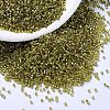 MIYUKI Delica Beads SEED-MY11-DB2164-1