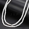 2 Strands Natural Freshwater Shell Beads Strands BSHE-WR0001-03-1