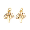 Brass Micro Pave Cubic Zirconia Charms KK-C162-036G-1