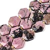 Natural Rhodonite Beads Strands G-N368-01A-22-2