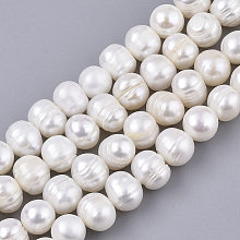Natural Cultured Freshwater Pearl Beads Strands PEAR-Q015-032B-01