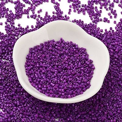 Baking Paint Glass Seed Beads X-SEED-S042-05B-73-1