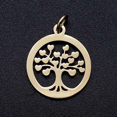304 Stainless Steel Pendants STAS-T046-JA350-2-1