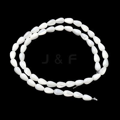 Natural White Shell Beads Strands SH-CBAF49A-03-1