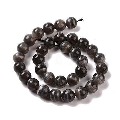 Natural Black Moonstone Beads Strands G-J157-12mm-05-1