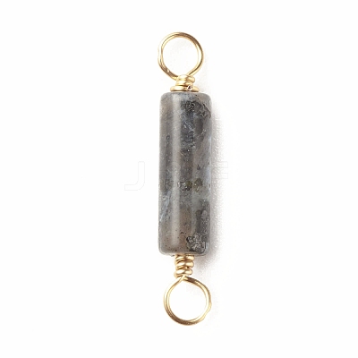 Natural Larvikite Connector Charms PALLOY-JF01454-05-1