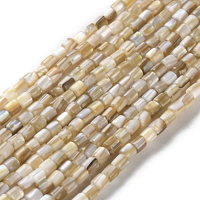 Natural Freshwater Shell Beads Strands SSHEL-B002-17-1
