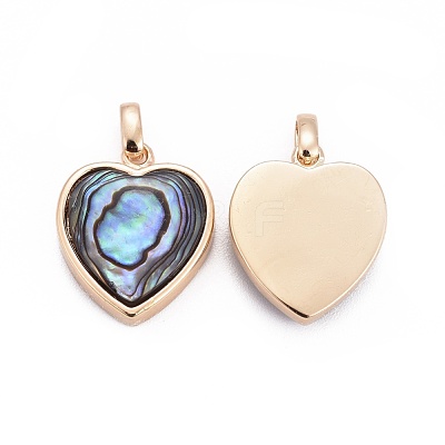 Natural Abalone Shell/Paua ShellCharms BSHE-F011-04B-G-1