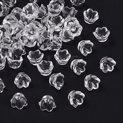 Transparent Clear Acrylic Beads PL548-1-1
