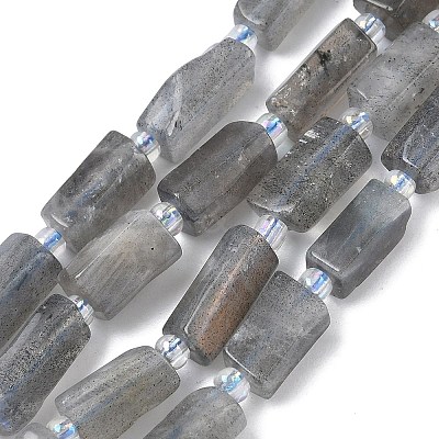 Natural Labradorite Beads Strands G-C270-K19-01-1