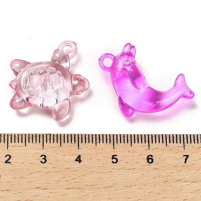 Transparent Acrylic Pendants OACR-Z016-24-1