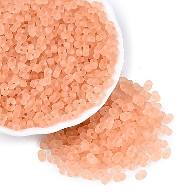 FGB Frosted Transparent Glass Seed Beads SEED-N013-06A-04-1