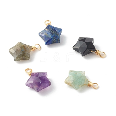Natural Mixed Gemstone Charms PALLOY-JF00748-1