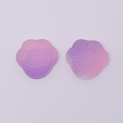 Gradient Style Resin Cabochons CRES-CJC0001-09E-1