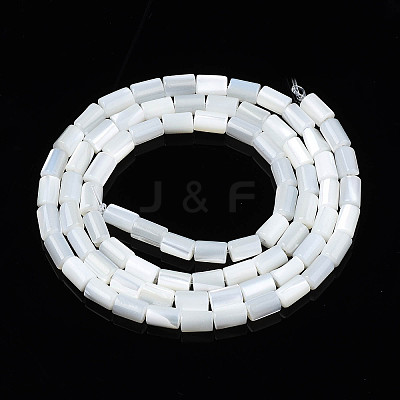 Natural Freshwater Shell Beads Strands X-SHEL-N003-26-A01-1