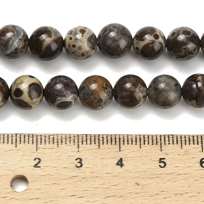 Natural Astroite Jasper Beads Strands G-F814-A01-8mm-1