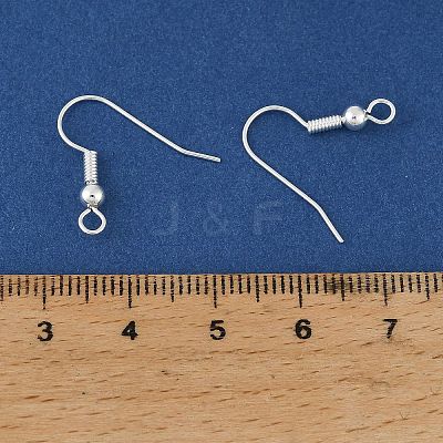 Brass Earring Hooks KK-H258-06A-S-1