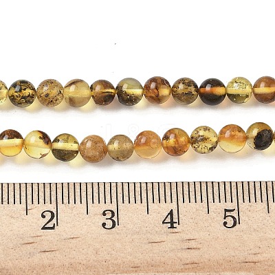 Natural Amber Beads Strands G-L095-B01-5mm-03-1
