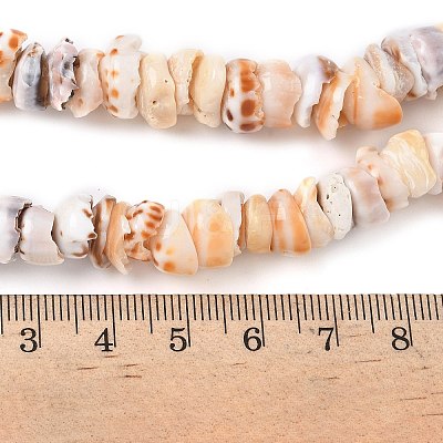 Natural Shell Beads Strands SSHEL-F304-01-1