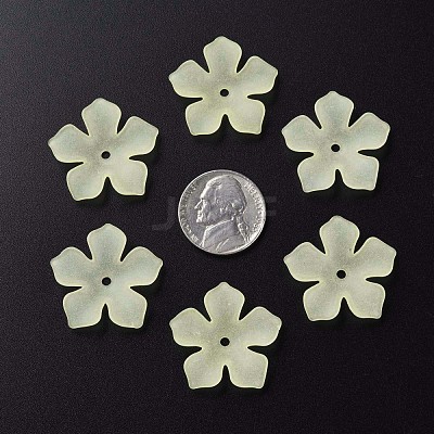 Transparent Acrylic Beads MACR-S373-119-D03-1