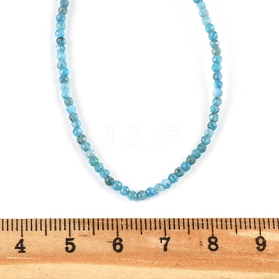 Natural Apatite Beaded Necklaces NJEW-JN02492-02-1