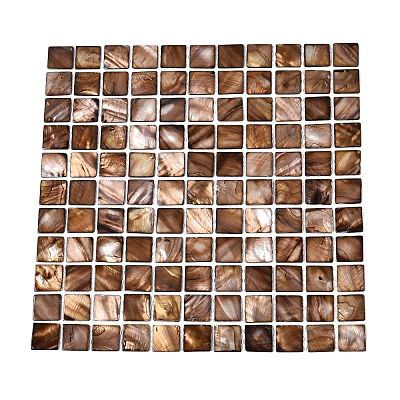 Natural Freshwater Shell Mosaic Tile Cabochons SHEL-Q029-09-1