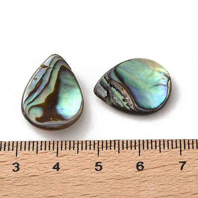 Natural Paua Shell Beads SSHEL-F305-02B-1