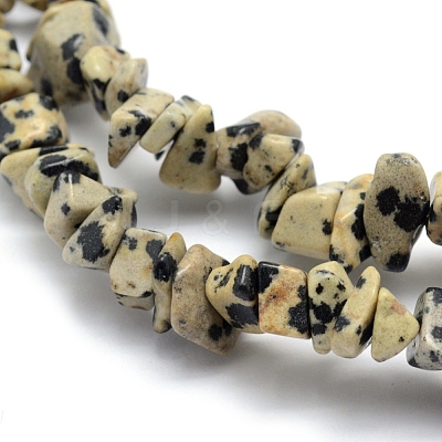 Natural Dalmatian Jasper Beads Strands X-G-P332-20-1
