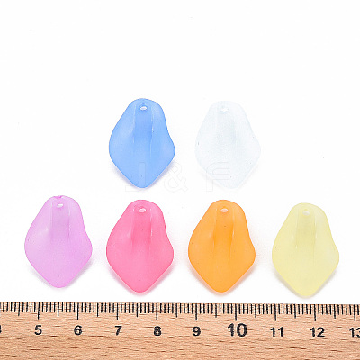 Transparent Frosted Acrylic Pendants MACR-S371-03A-1