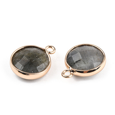 Natural Labradorite Charms G-Q998-026E-1