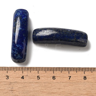 Natural Lapis Lazuli Connector Charms G-G095-01A-1