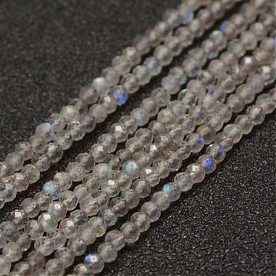 Natural Labradorite Beads Strands G-K182-2mm-25A-1