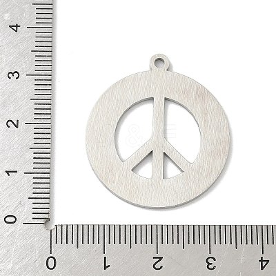 304 Stainless Steel Pendants STAS-F326-07P-1