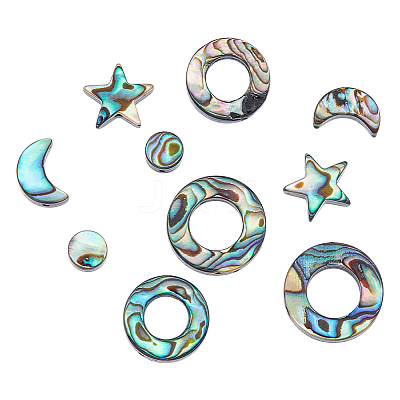 12Pcs 6 Styles Natural Abalone Shell/Paua Shell Beads SSHEL-DC0001-01-1