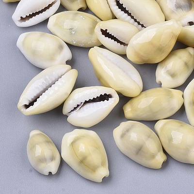Natural Cowrie Shell Beads SSHEL-N034-C-26-1