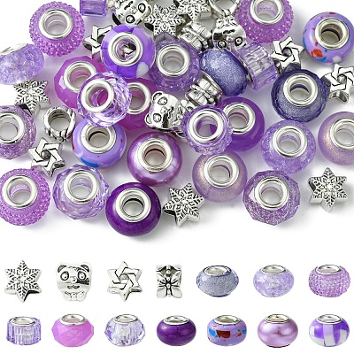 DIY Tibetan Style Alloy & Resin European Beads Making Finding Kits DIY-FS0006-78D-1