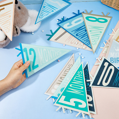 14Pcs Felt Baby Monthly Milestone Pennant Flags DIY-WH0899-496-1