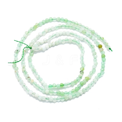 Natural Chrysoprase Beads Strands G-P457-A01-23-1