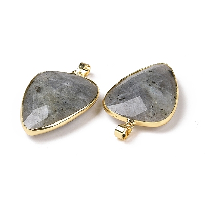 Faceted Natural Labradorite Pendants G-F340-02D-1