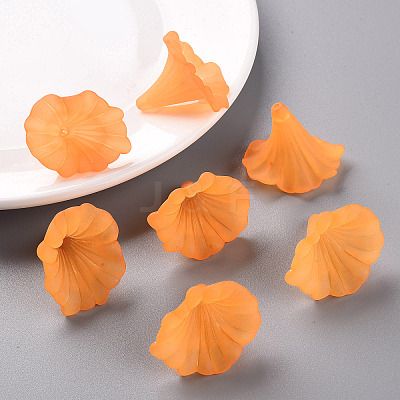 Transparent Acrylic Beads BSF796-C19-1
